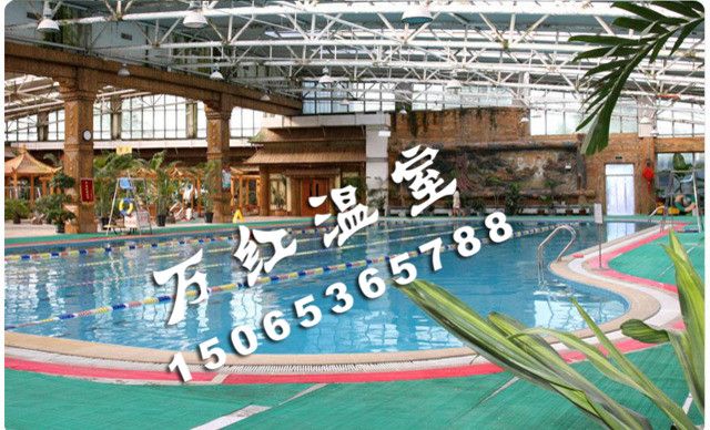 生態(tài)休閑游泳溫室