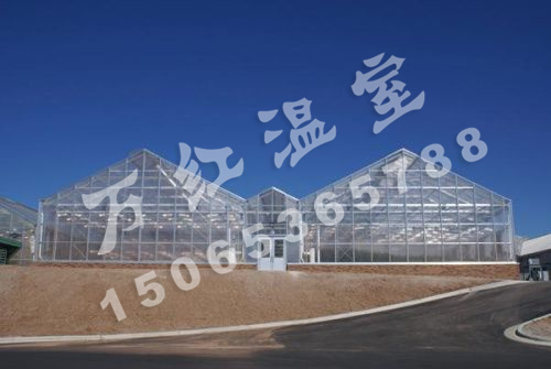 石家莊新樂(lè)市花卉展銷大廳