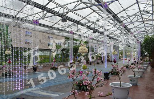 陽信縣富農(nóng)花卉展廳