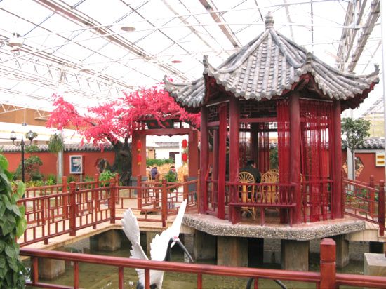 慶陽鼎豐農(nóng)業(yè)有限公司基地