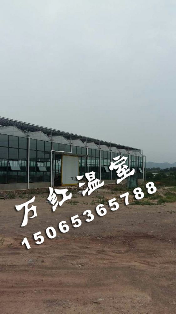 遼寧PC板玻璃智能連棟溫室大棚圓滿竣工