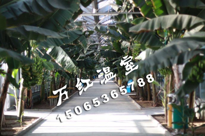 熱帶植物生態(tài)觀光園