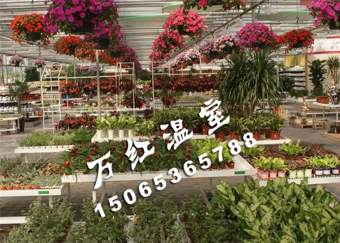 花卉展覽交易大廳溫室