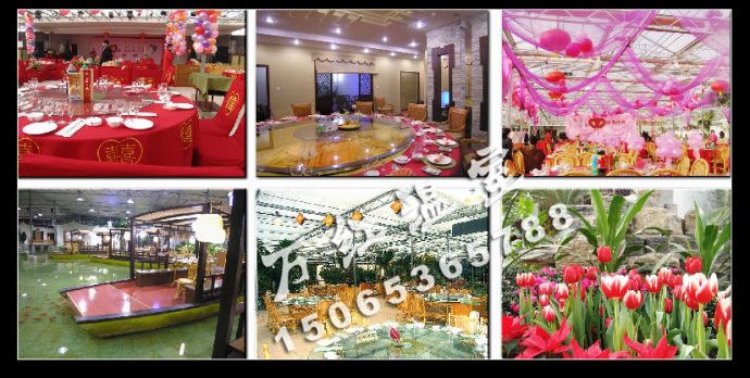 你沒見過的溫室型生態(tài)餐廳