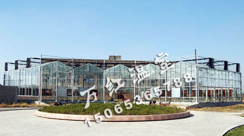 物聯(lián)網自動化大棚