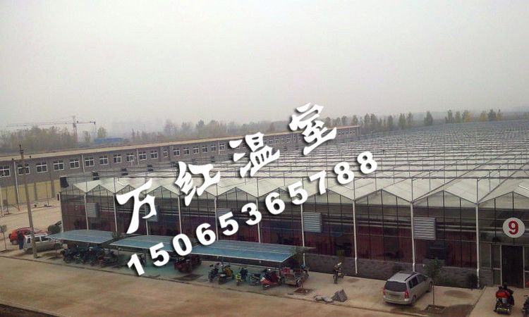 河南花卉交易市場