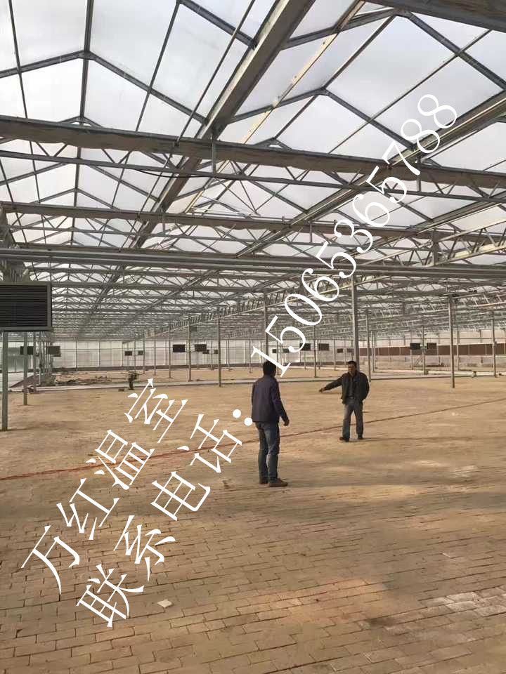 萬(wàn)紅溫室施工完成溫室大棚預(yù)覽