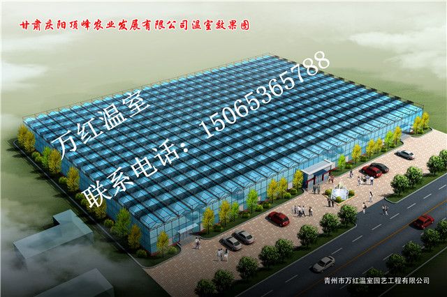 甘肅慶陽(yáng)頂峰農(nóng)業(yè)86.4X60溫室效果圖