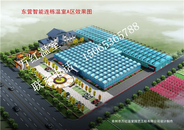 東營(yíng)智能連棟溫室A區(qū)效果圖