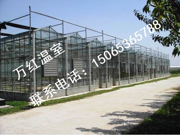 黃島溫室大棚/黃島溫室建設(shè)