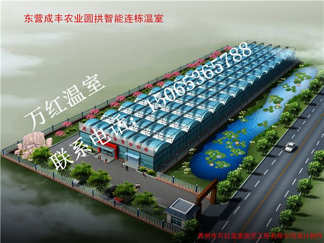 東營(yíng)成豐農(nóng)業(yè)圓拱智能連棟溫室大棚