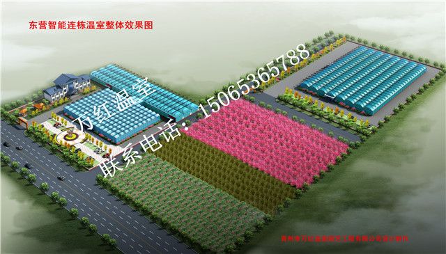 東營(yíng)智能買(mǎi)連棟溫室整體效果圖