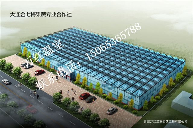 大連金七梅蔬專業(yè)合作社