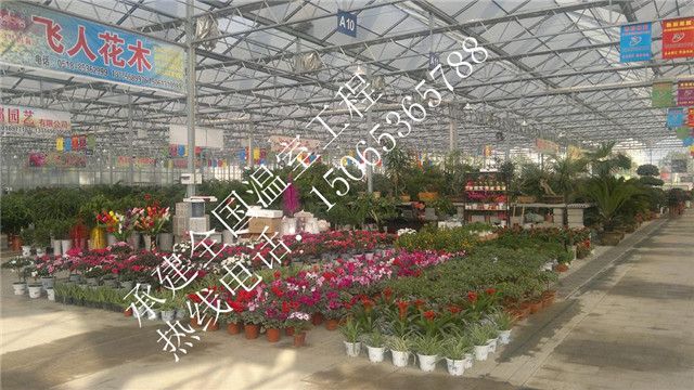 江蘇連云港國(guó)際花卉溫室城項(xiàng)目