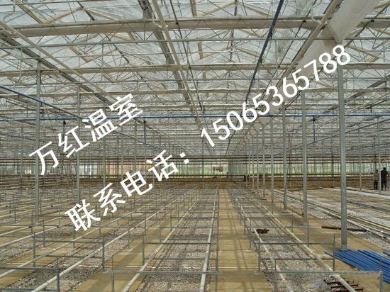 溫室內(nèi)部效果展示圖片