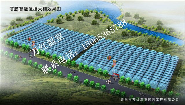 甘肅連棟薄膜溫室大棚效果圖
