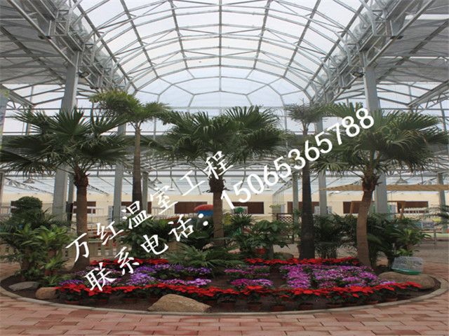 花卉溫室展銷大棚無土栽培培育溫室內(nèi)部圖