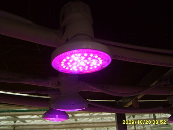 LED植物生長燈頭