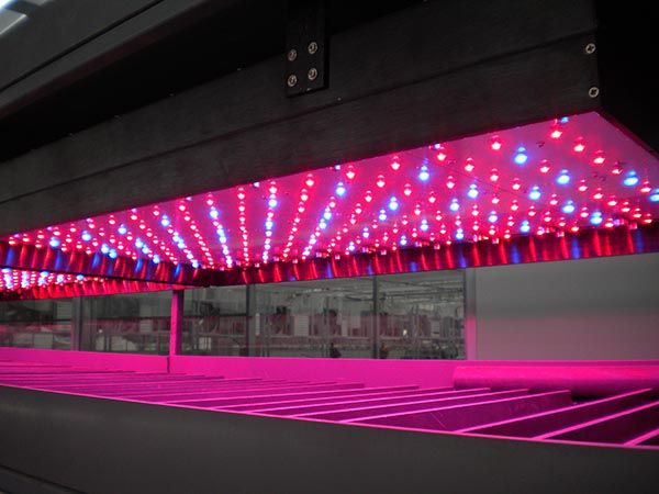 LED植物生長燈板